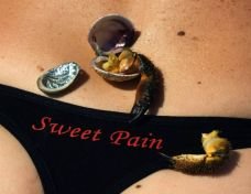 Sweet Jane No.2